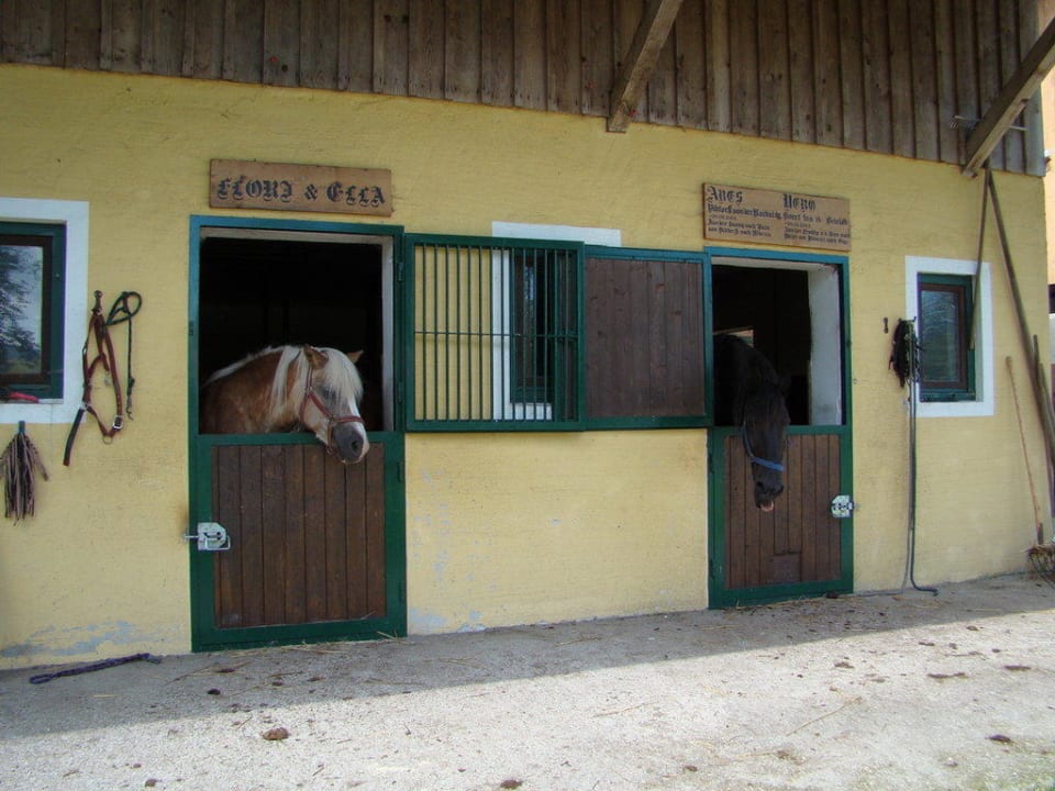Die anderen Bewohner Landhotel Waldmühle