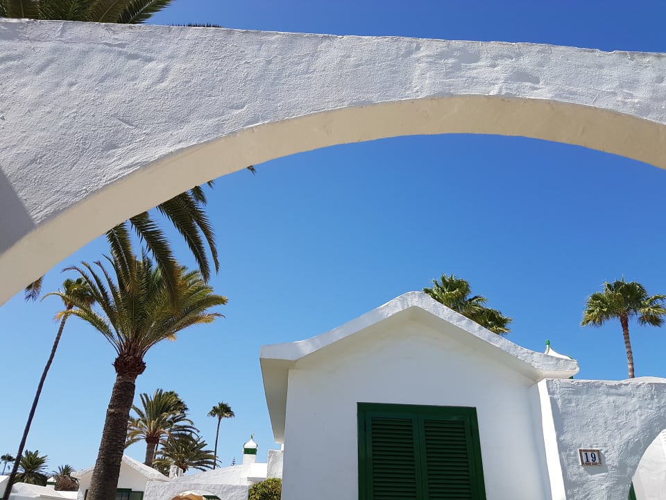 Gartenanlage Club Maspalomas Suites & SPA