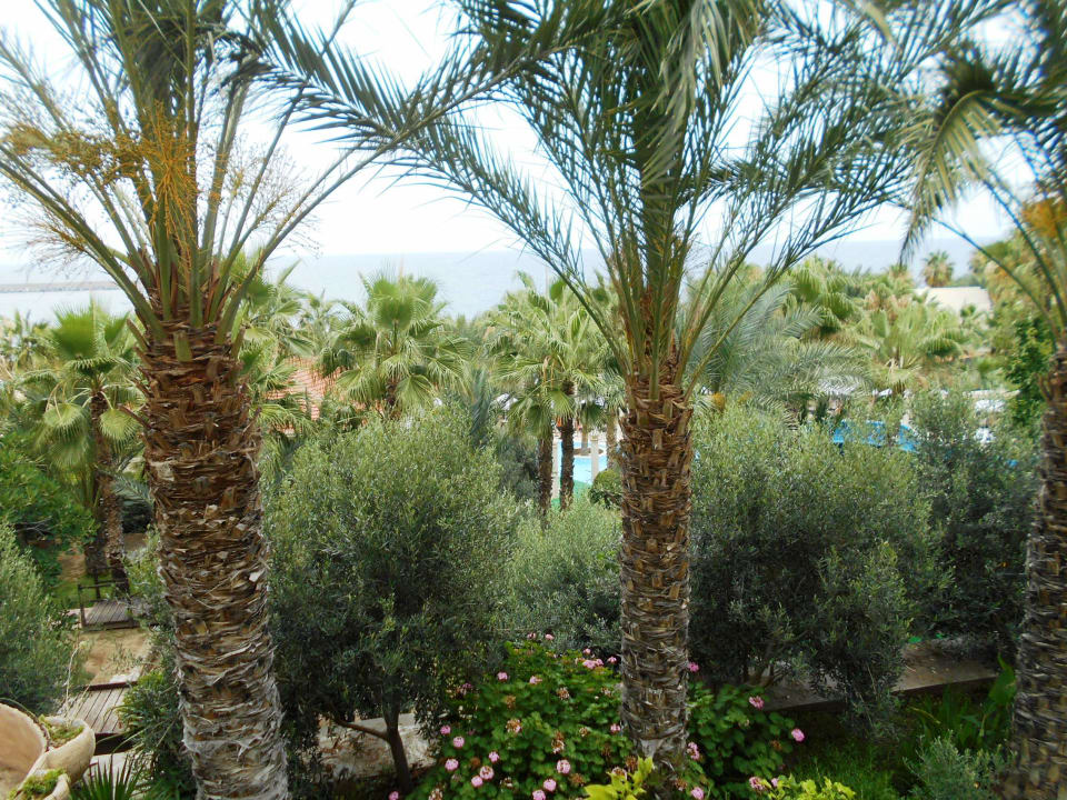 Gartenanlage Oscar Resort Hotel