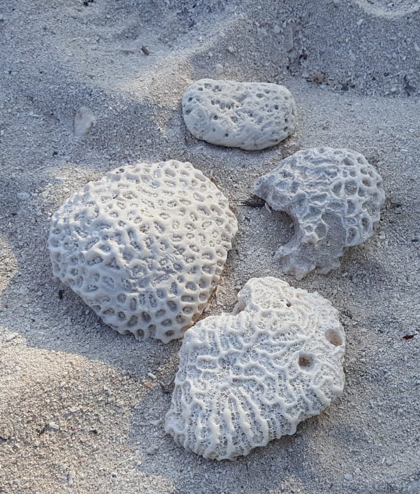 Strand Akumal Bay Beach & Wellness Resort