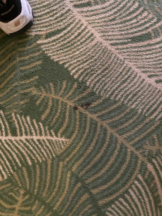 Zimmer Marvida Family Eco