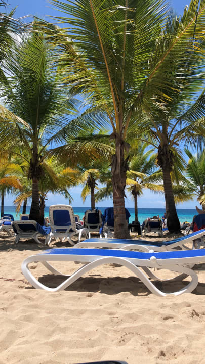 Pool Hotel Viva Dominicus Palace by Wyndham-All Inclusive Resort