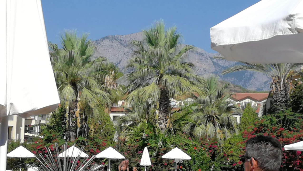 Ausblick Le Jardin Resort