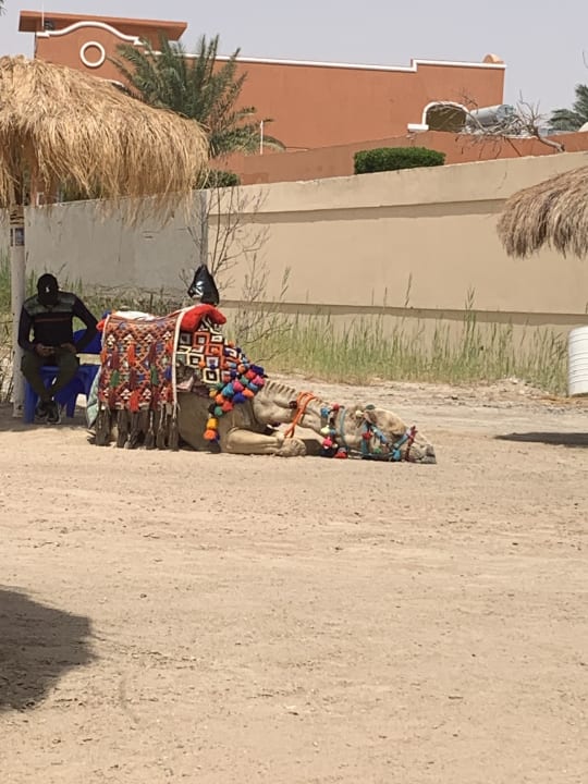 Strand Sentido Caribbean World Soma Bay