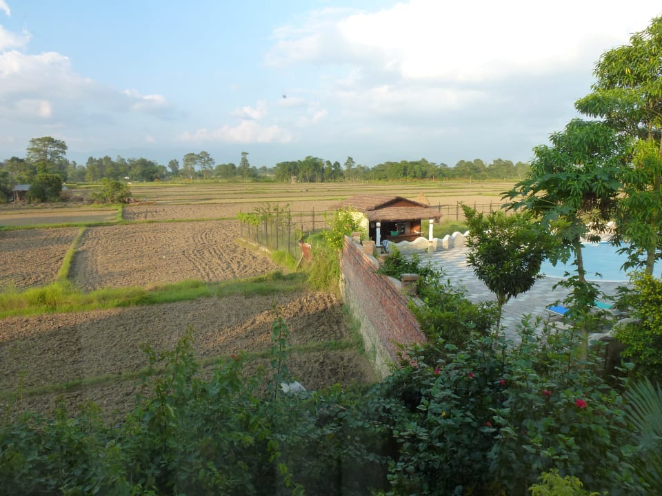Ausblick Resort Green Park Chitwan