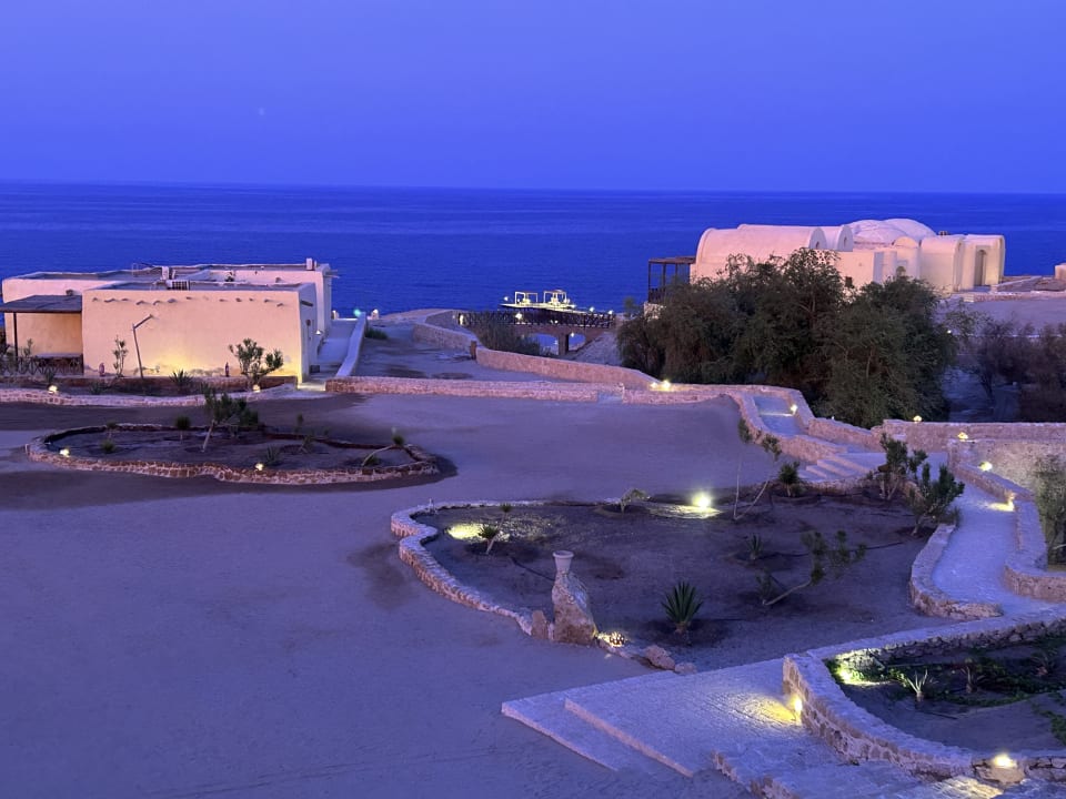 Ausblick The Oasis Dive Resort