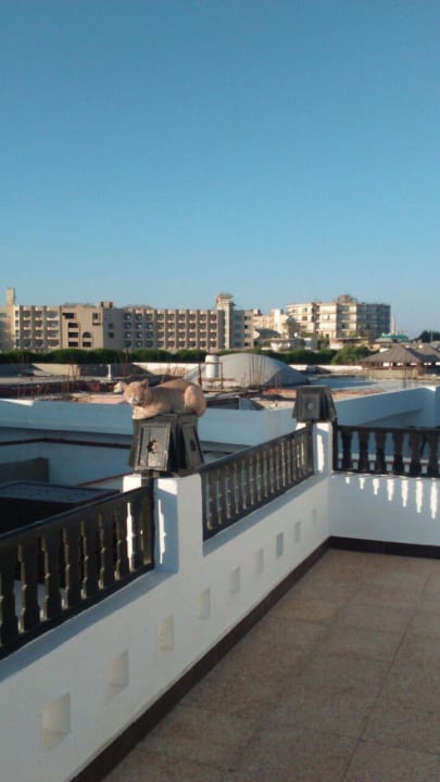 Nebenhotel Arabella Azur Resort