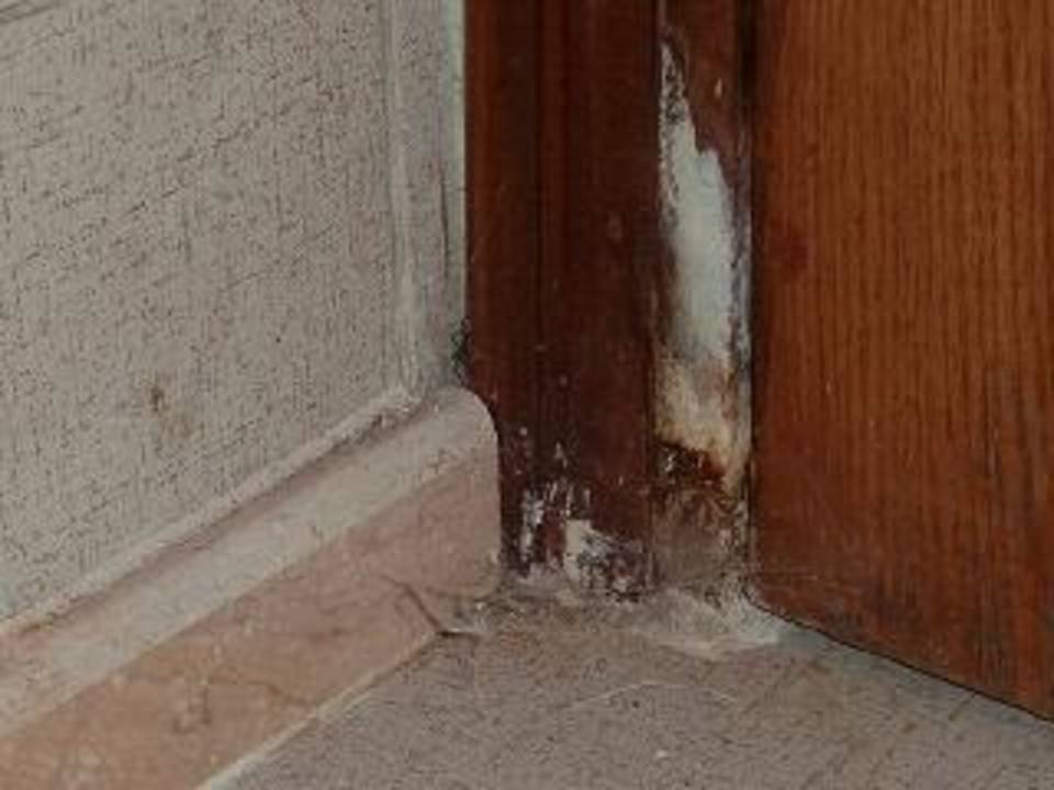 Zimmer Riviera Aqua Park Resort