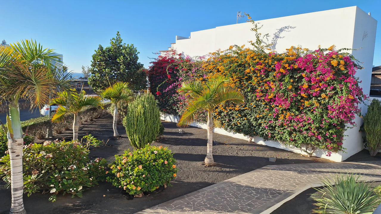 Gartenanlage allsun App.-Hotel Albatros