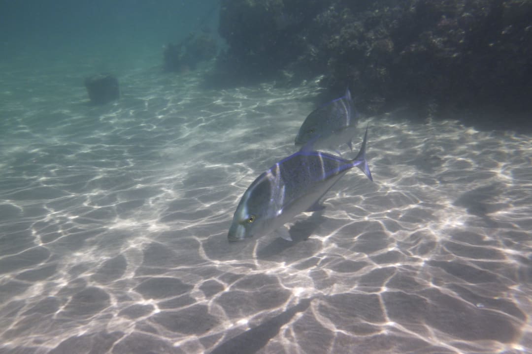 Sport & Freizeit Hotel JAZ Makadi Star & Spa