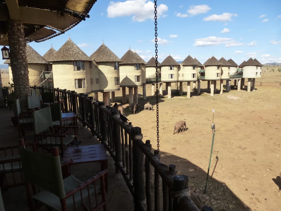 Blick in die Landschaft Salt Lick Safari Lodge
