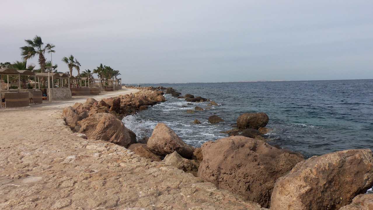 Ausleger für eine Lagune Pickalbatros Citadel Resort