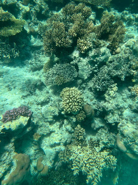 Strand Hurghada Long Beach Resort