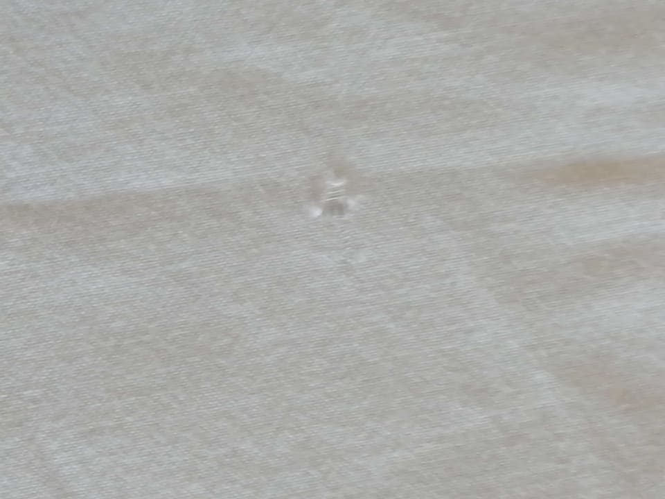 Zimmer Elba Carlota Beach & Golf Resort