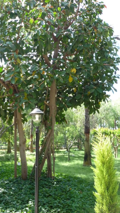 Ogród Botanik Hotel & Resort