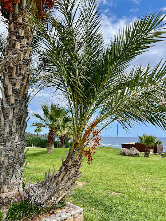 Gartenanlage Rodos Palladium Leisure & Wellness