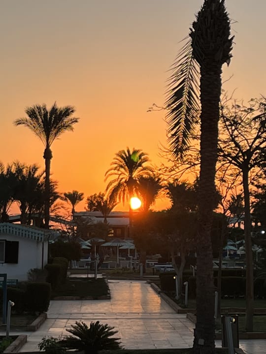Gartenanlage Ghazala Beach