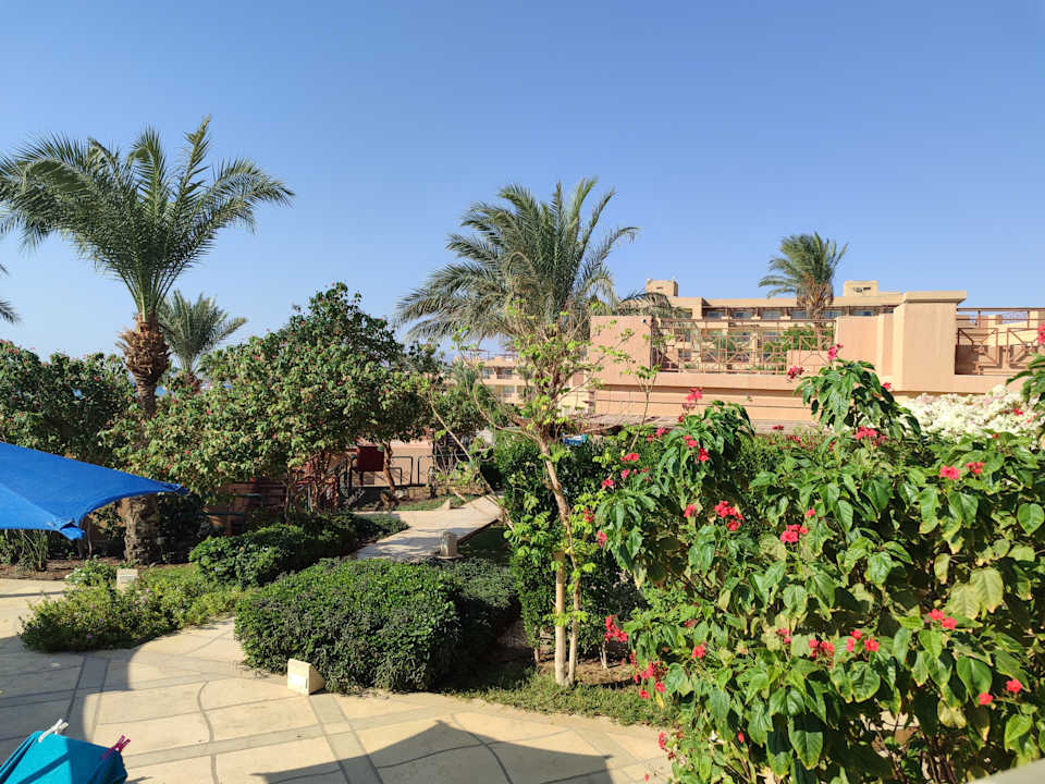 Pool Shams Prestige Abu Soma-Adults Only