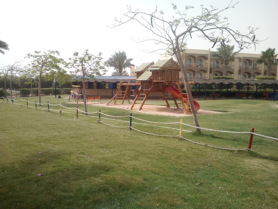 Sport & Freizeit Desert Rose