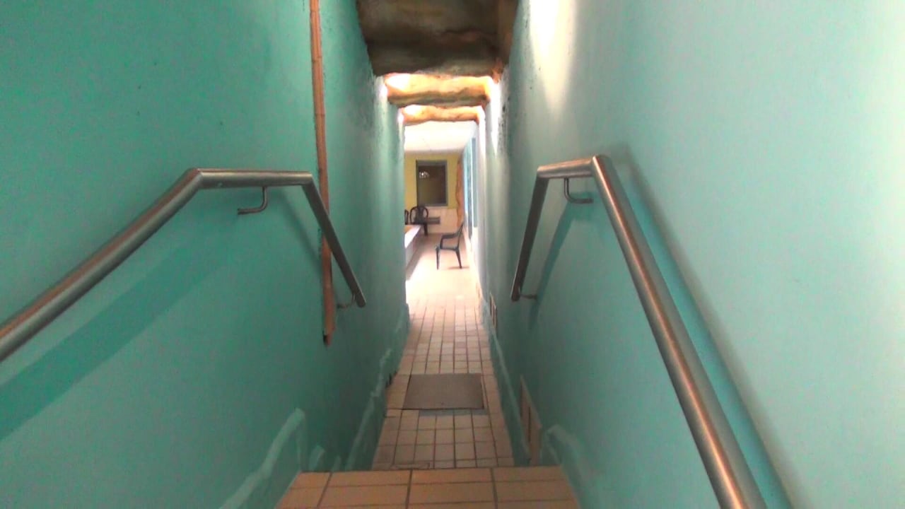 Sonstiges IFA Rügen Hotel & Ferienpark