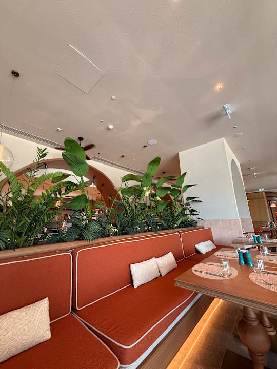 Gastro XO Cape Arnna