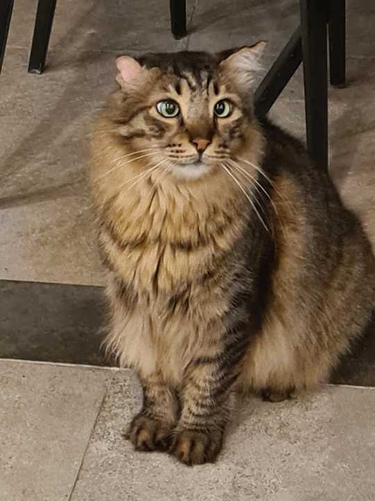 Ausblick Sailor's Beach Club