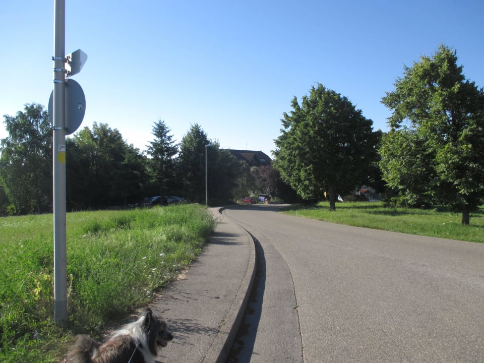 Blick von Weitem auf's Hotel Vital- und Wellnesshotel Albblick