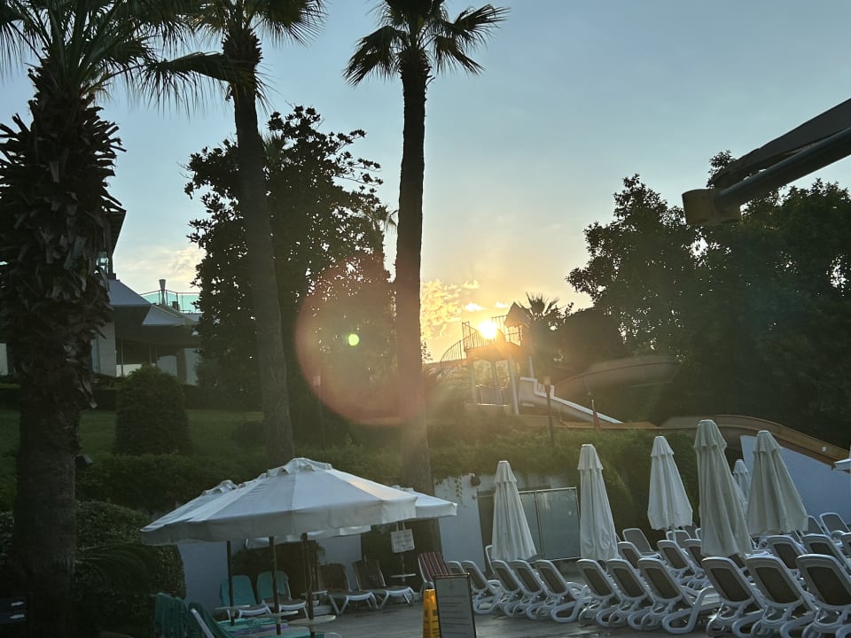 Pool Side Star Elegance