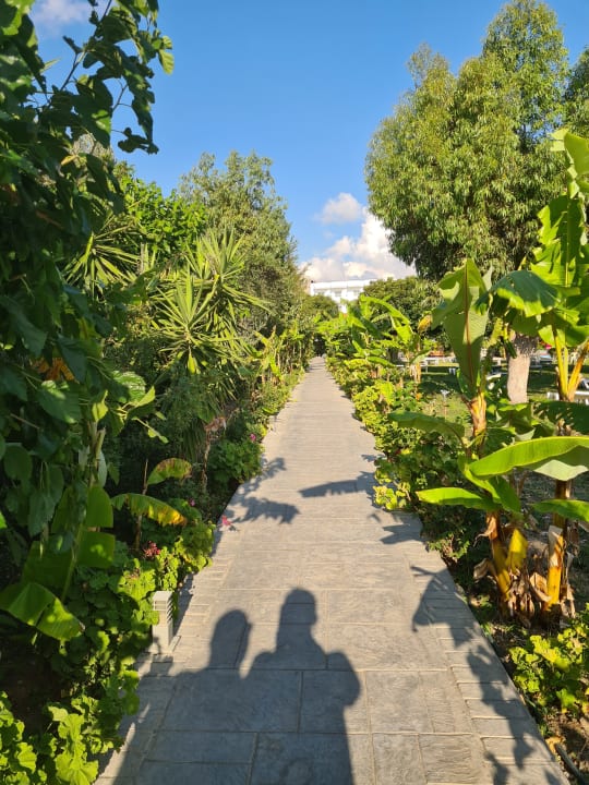 Gartenanlage Irene Palace Beach Resort Club alltoura