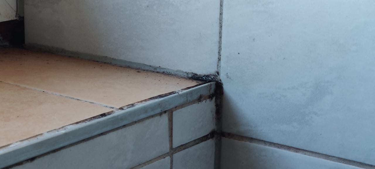 Zimmer Clubhotel Edelweiss