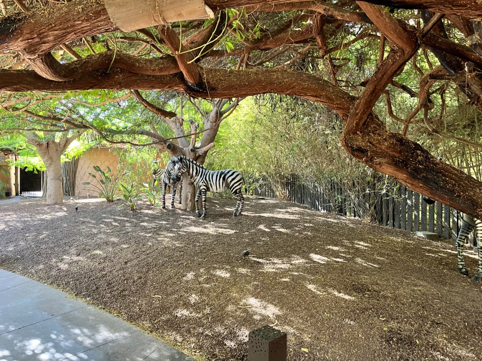 Außenansicht Lopesan Baobab Resort