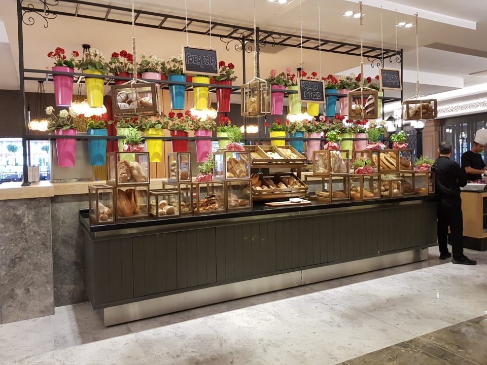 Gastro Seashell Vega