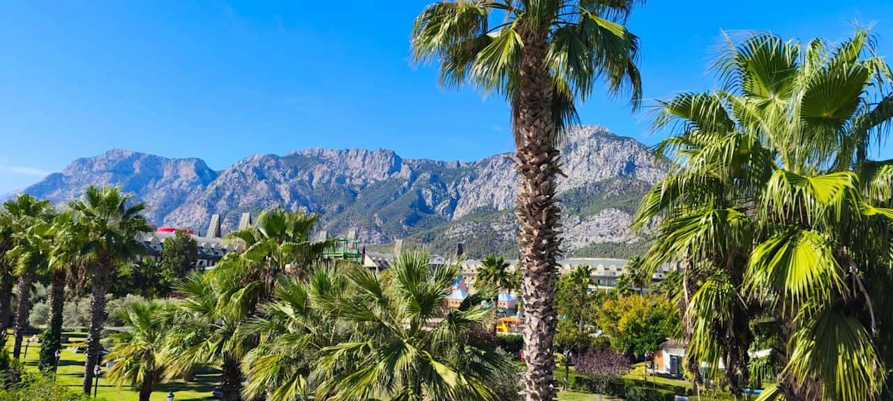 Ausblick Crystal Prestige Elite