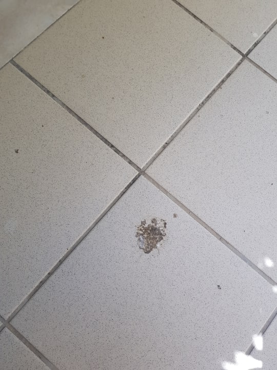 Sonstiges Rodos Palladium Leisure & Wellness