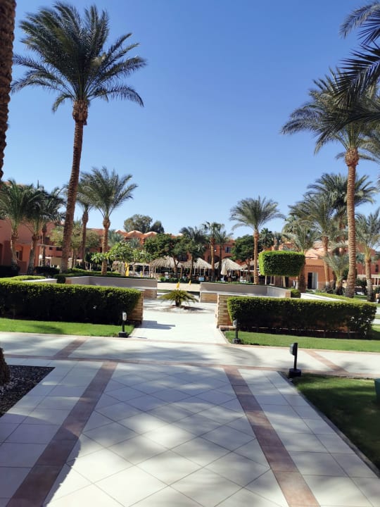 Gartenanlage Jaz Makadi Oasis Resort