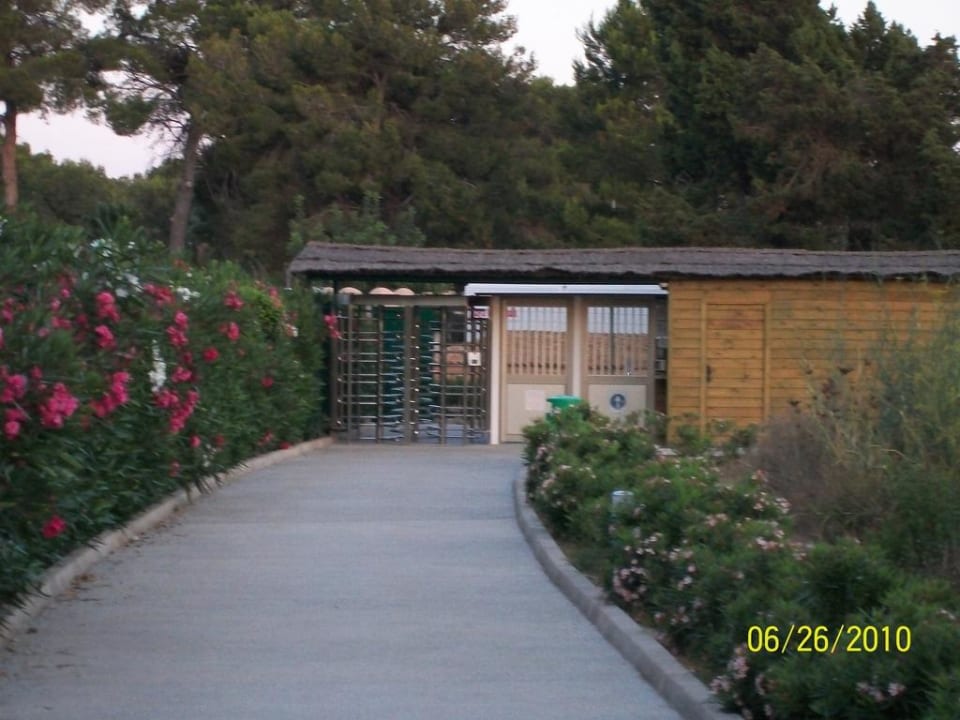 Ausgang zum Strand TUI MAGIC LIFE Cala Pada