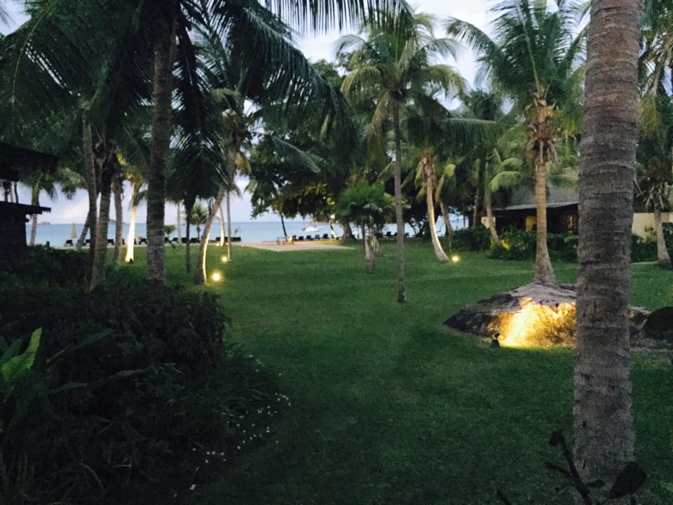 Garten am Abend Paradise Sun