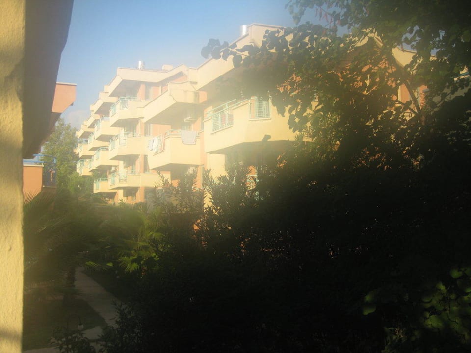 Ausblick Dream Family Club