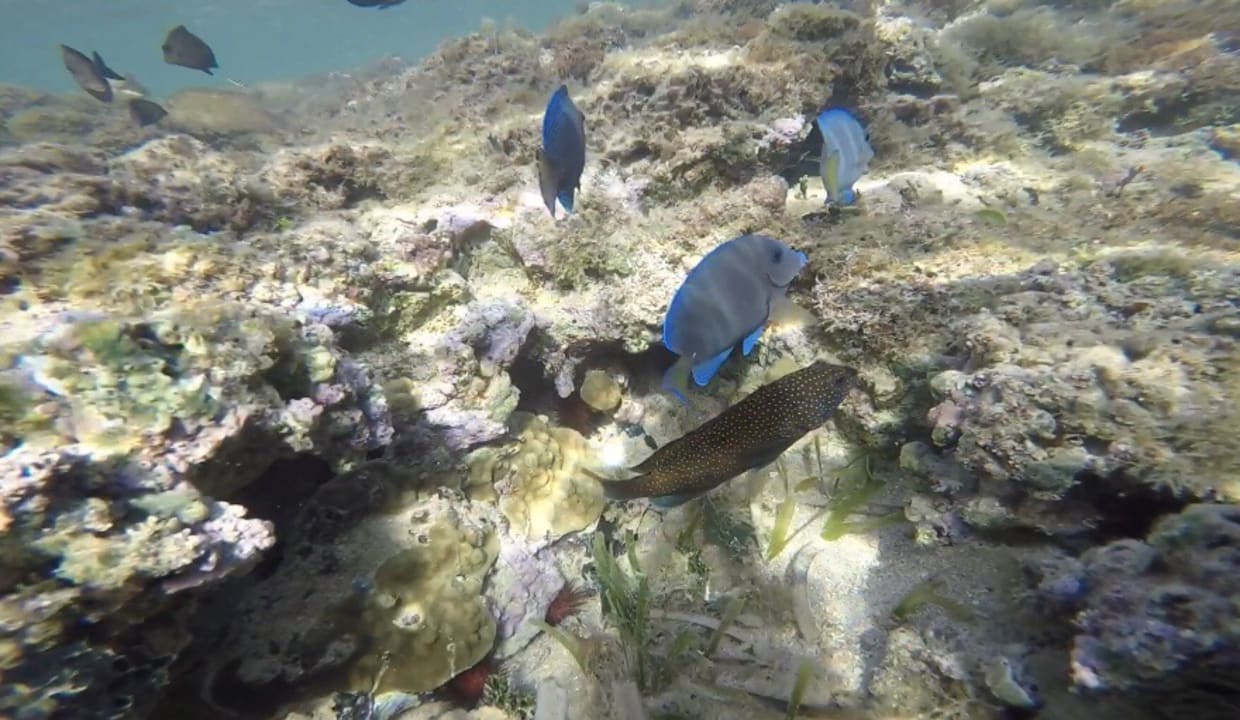 Strand Bahia Principe Grand El Portillo