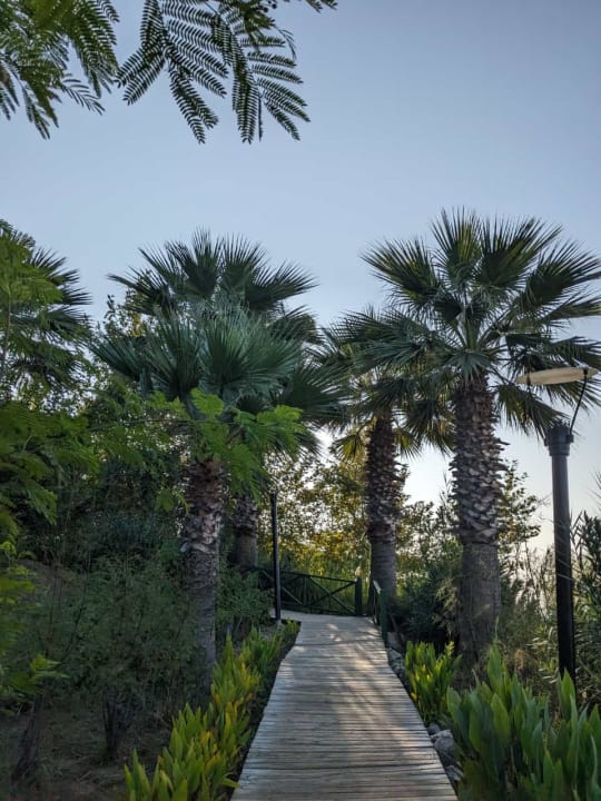 Gartenanlage Terrace Elite Resort