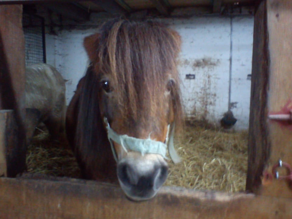 Schlafenszeit Ferienhof Upwarf