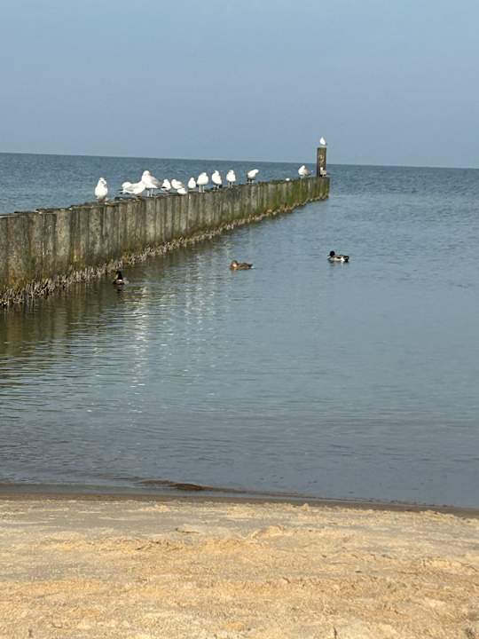 Zimmer Baltivia Sea Resort