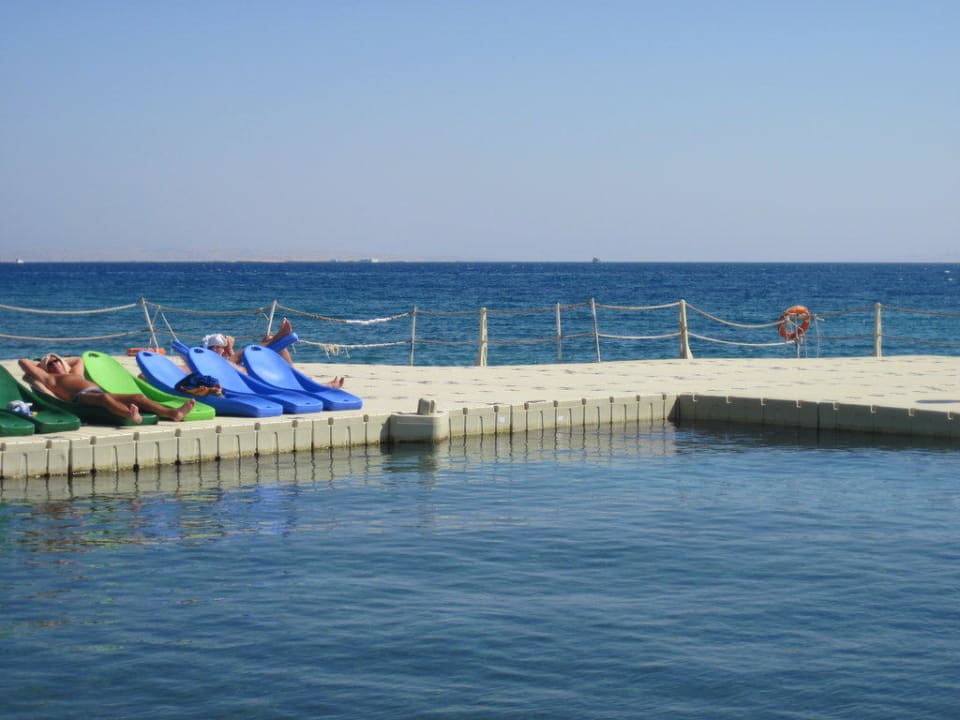 Meerwasserpool mit Einstieg Pickalbatros Palace Resort