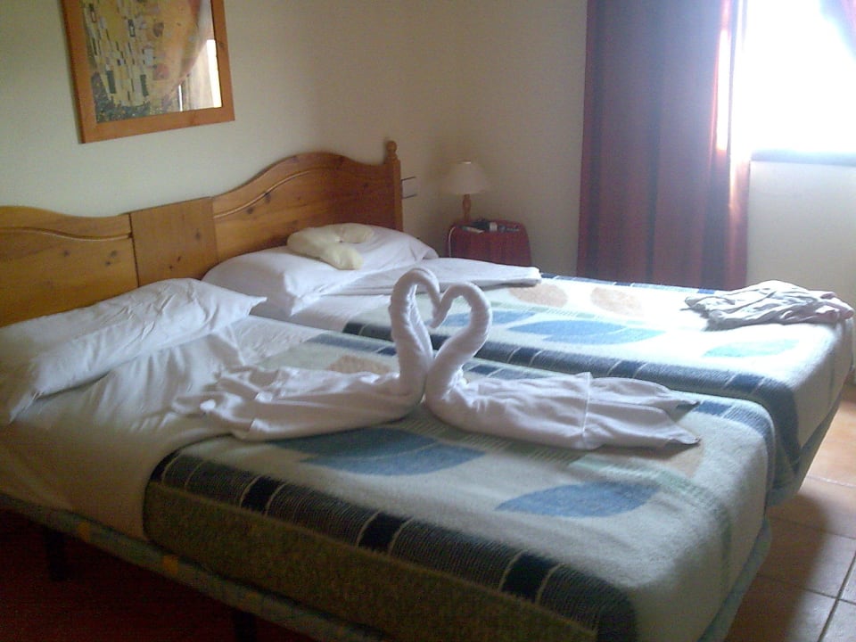 Sehr nette Geste der Putzfrau Apartamentos Oasis San Antonio