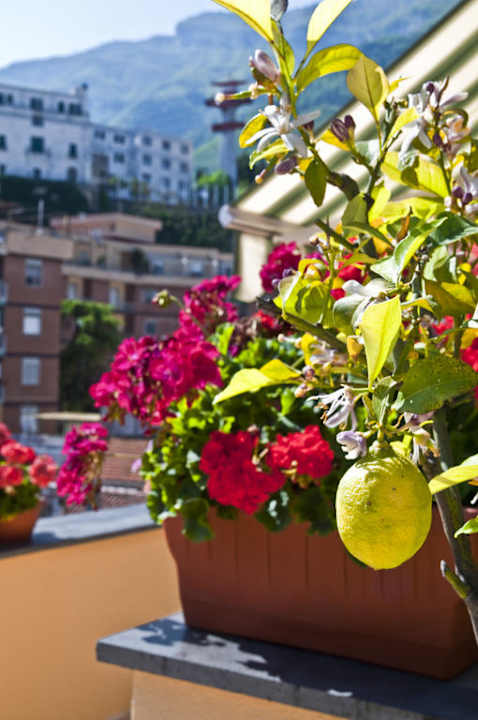 Bed & Breakfast Tetto Fiorito - Gli esterni Bed & Breakfast Tetto Fiorito