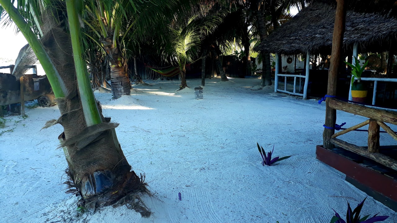 Gartenanlage Santa Maria Coral Park