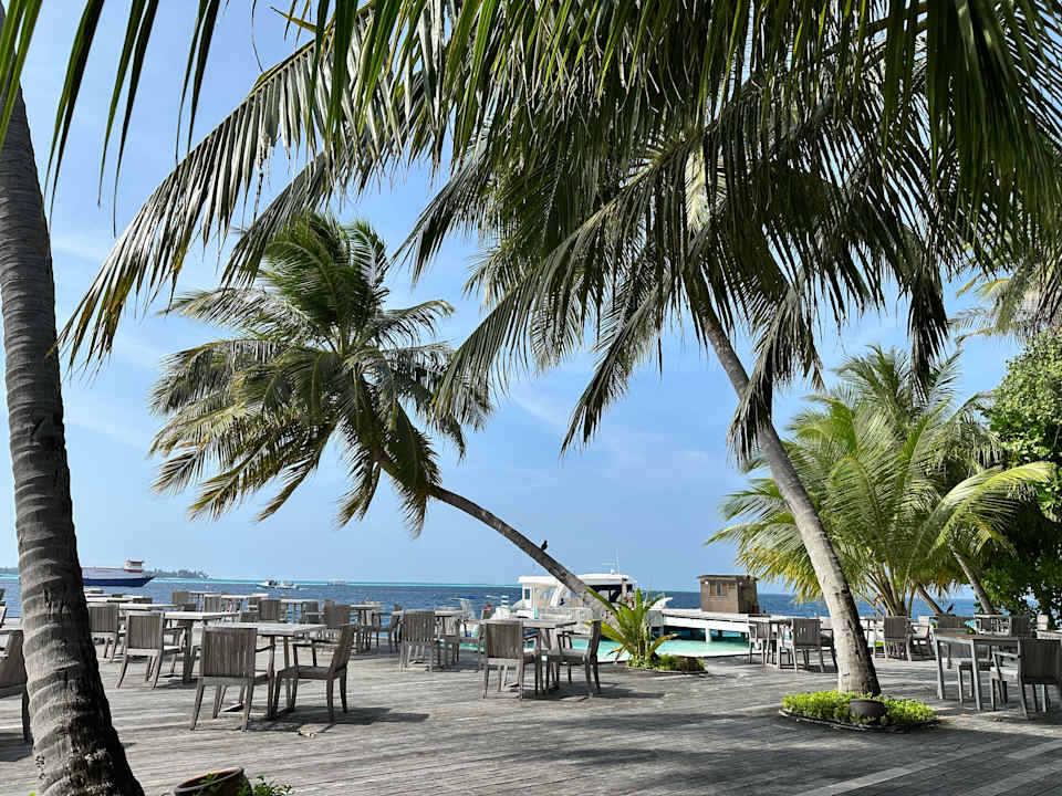 Gastro Vilamendhoo Island Resort & Spa