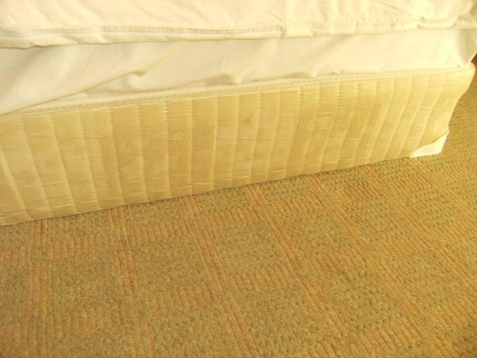 Das Zimmer Hotel Lion Sunny Beach