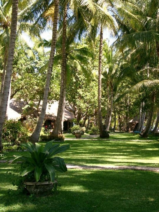 Hotelanlage Hotel Gaia Oasis