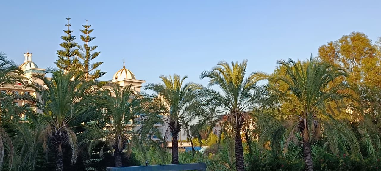 Sonstiges TUI BLUE Xanthe